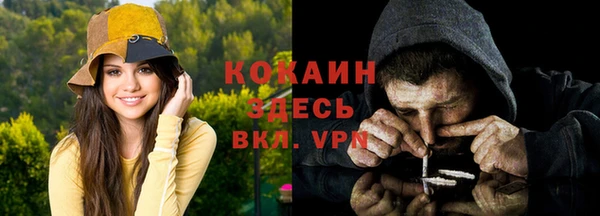ALPHA PVP Бородино