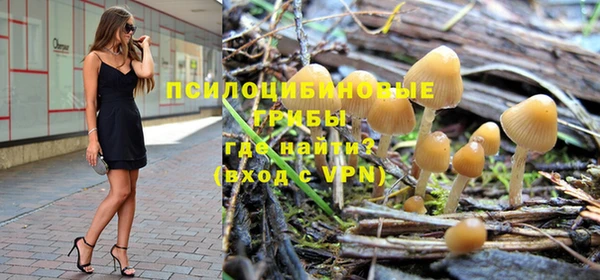 ПСИЛОЦИБИНОВЫЕ ГРИБЫ Бугульма